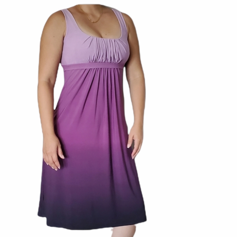 Dress Ann Taylor Loft size 4